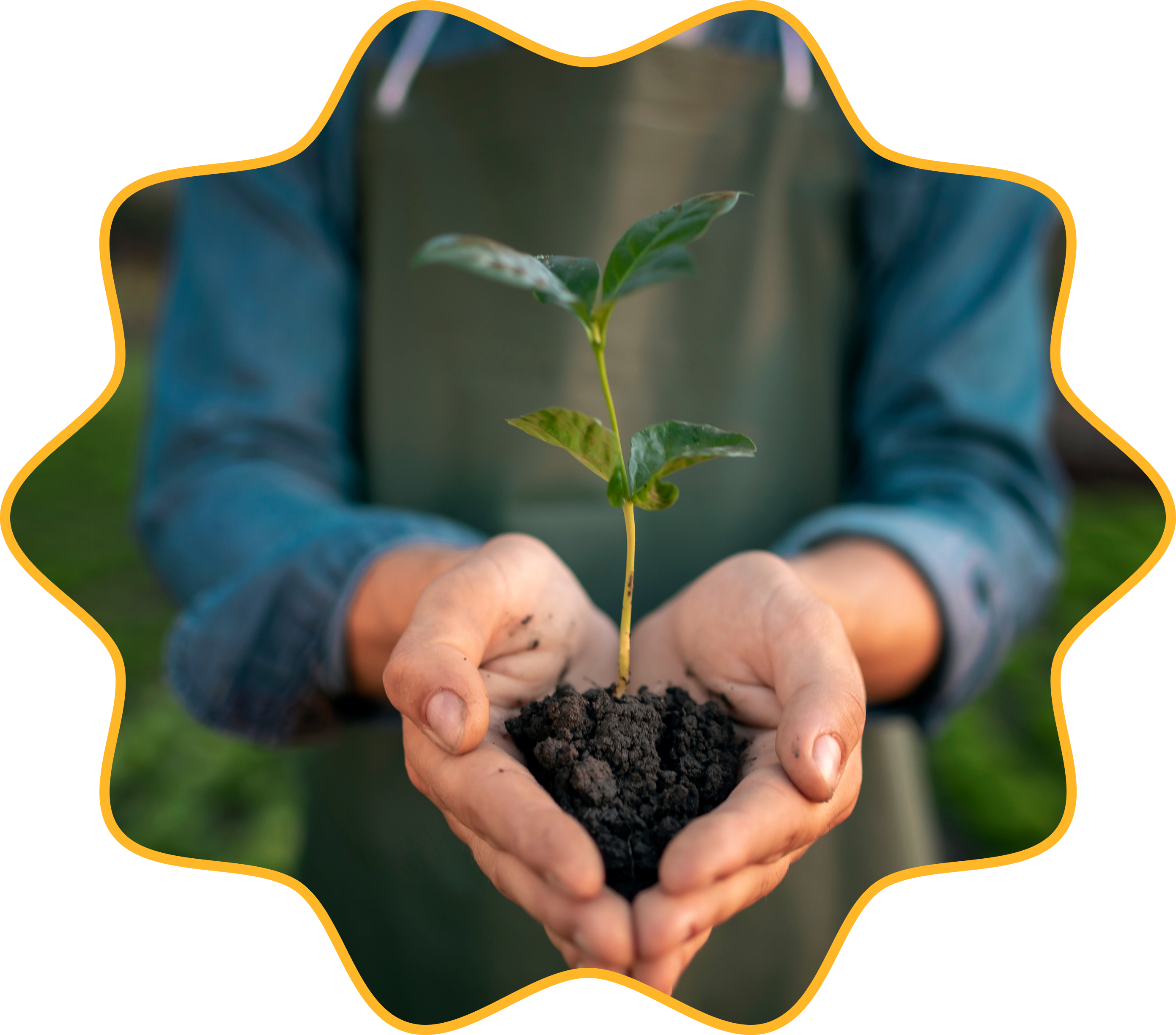 Farming Image