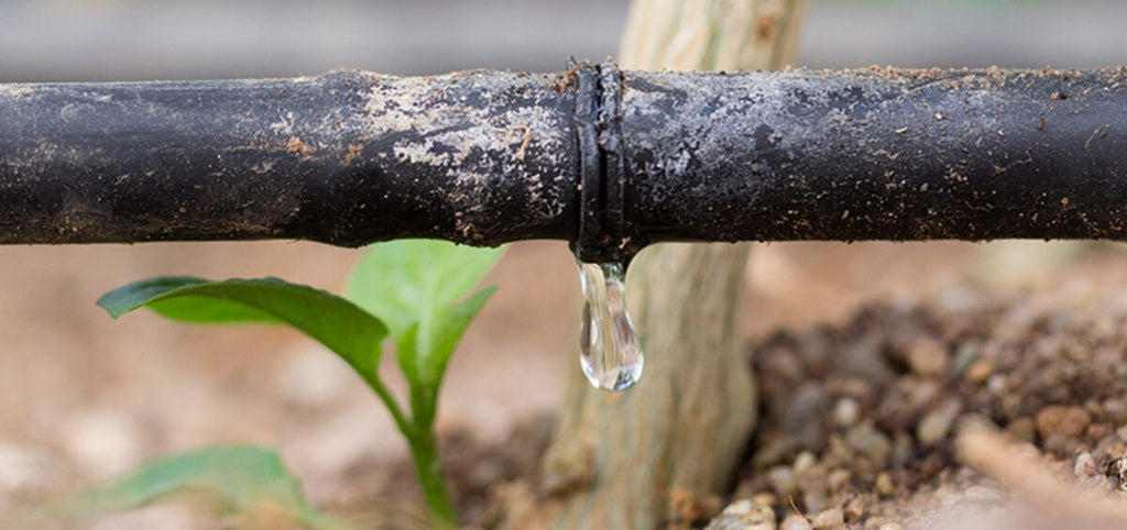 What is Drip Irrigation? Why Drip Irrigation is Important?