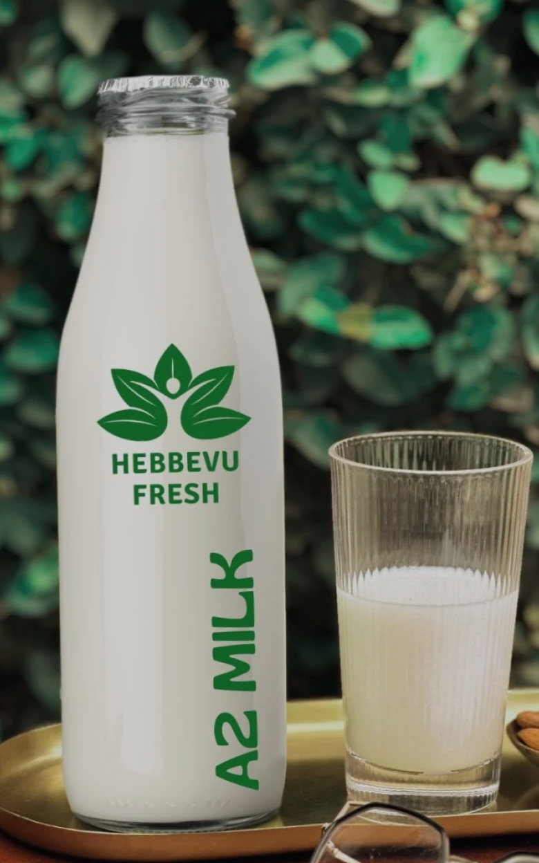 Dairy essentials