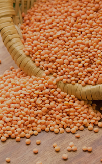 Pulses