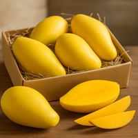 Totapuri Mango – 1.5kg Box (A-Grade Organic, Naturally Ripened)