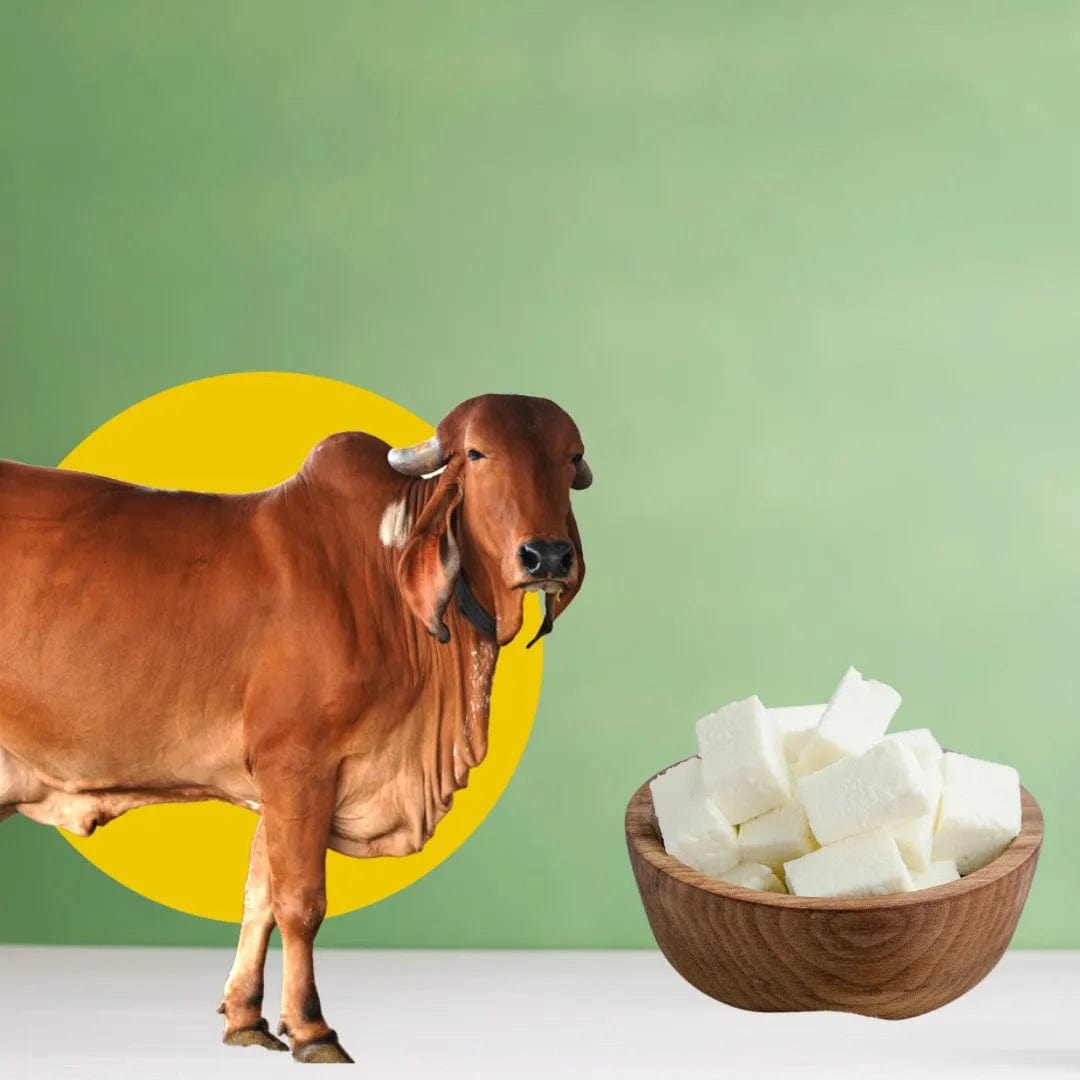 Ksheera A2 Fresh Paneer - Hebbevu Fresh